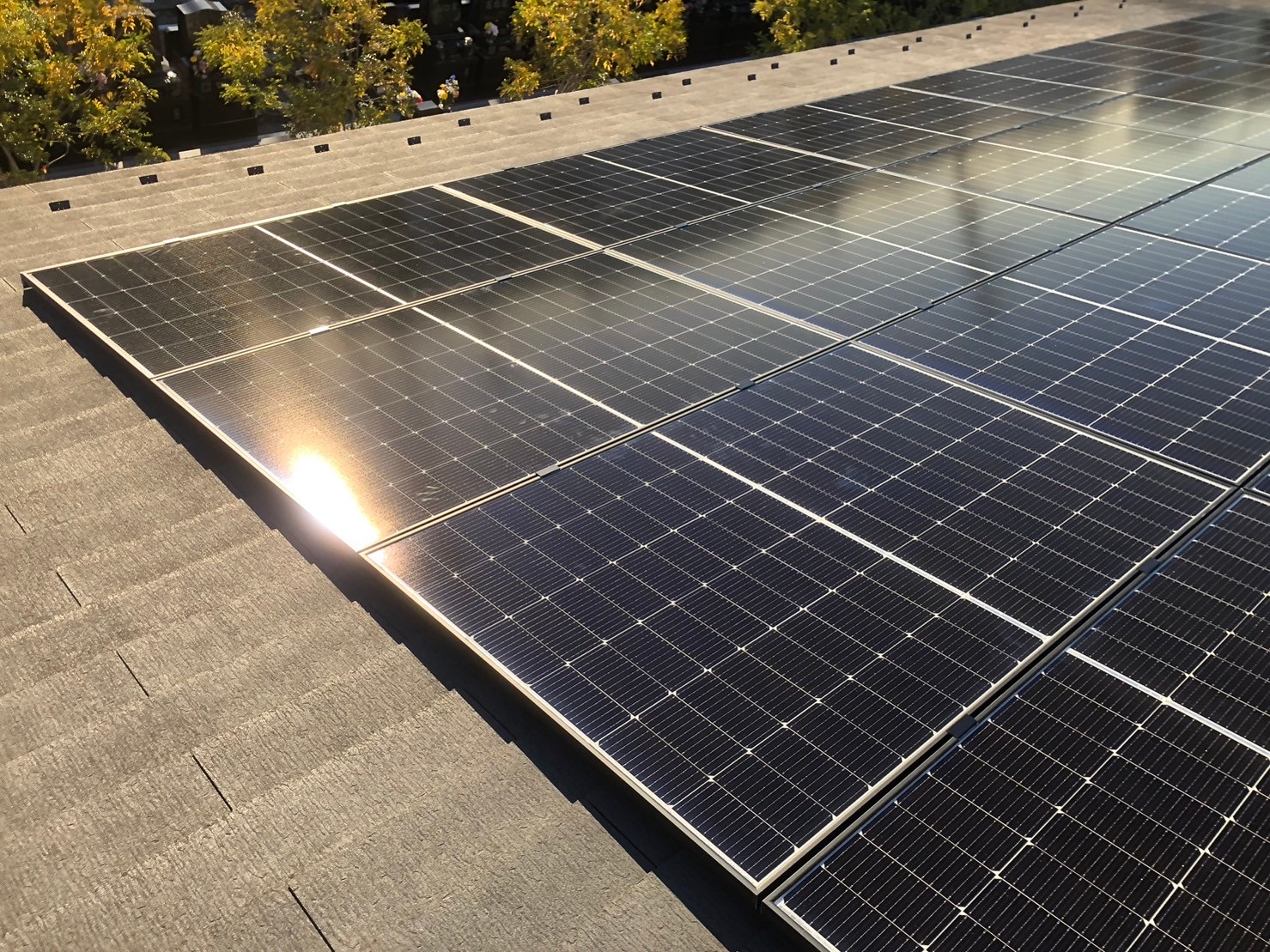 太陽光発電事業